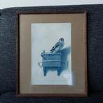 Afbeelding Het Puttertje - Carel Fabritius, Ophalen of Verzenden