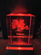 Presse papier Tembusu Fagraea Fragrans boom (Singapore), Ophalen of Verzenden