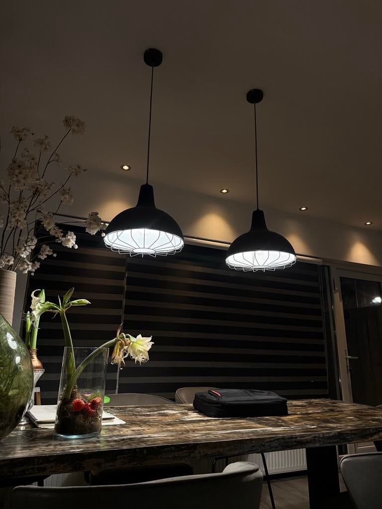 Twee hanglampen voor €50, Huis en Inrichting, Lampen | Hanglampen, Ophalen, Gebruikt, Metaal, Minder dan 50 cm