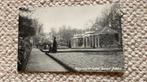 Ansichtkaart Delden Oranjerie Kasteel Twickel begin 1900 938, Ophalen of Verzenden, Voor 1920, Gelopen, Overijssel