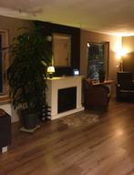 Haardombouw, schouw, Huis en Inrichting, Ophalen, Zo goed als nieuw, Vrijstaande haard, Elektrische haard