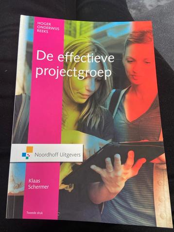 De effectieve projectgroep - Klaas Schermer beschikbaar voor biedingen