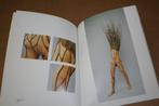 Beelden van Gerrit Offringa., Boeken, Ophalen of Verzenden, Zo goed als nieuw