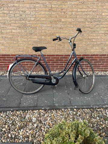 Gazelle impala  beschikbaar voor biedingen