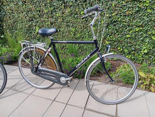 Giant freetime, Fietsen en Brommers, Fietsen | Heren | Herenfietsen, Gebruikt, Giant, 53 tot 57 cm, Versnellingen, Ophalen