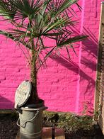 Potplantcontainer 🌴 ZINK Tuin Terras AFVALBAK Balkon, Tuin, 40 tot 70 cm, 25 tot 40 cm, Gebruikt