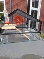 Hamsterkooi met extra, Dieren en Toebehoren, Ophalen, Zo goed als nieuw