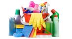 Schoonmaakster zoekt werk als huishoudelijke hulp, Overige vormen