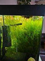 Aquarium met inhoud, Dieren en Toebehoren, Vissen | Aquaria en Toebehoren, Ophalen, Zo goed als nieuw, Leeg aquarium