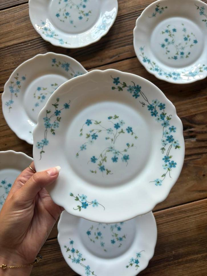 Arcopal Veronica/Myosotis ontbijtborden – 6 stuks, Antiek en Kunst, Antiek | Servies compleet, Ophalen of Verzenden
