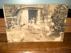 Oude Postkaart Antwerpen Zoo Ooievaars, Ophalen of Verzenden, 1920 tot 1940, Gelopen, België en Luxemburg