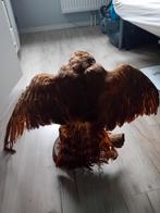 Opgezette buizerd, Ophalen of Verzenden, Zo goed als nieuw