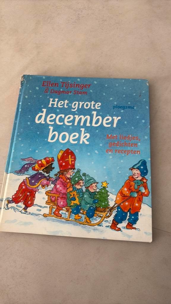 Ellen Tijsinger - Het grote decemberboek, Boeken, Kinderboeken | Jeugd | onder 10 jaar, Zo goed als nieuw, Fictie algemeen, Ophalen of Verzenden