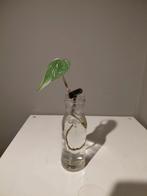 Monstera Albo Variegata op water, Huis en Inrichting, Kamerplanten, Ophalen of Verzenden, Halfschaduw, Minder dan 100 cm