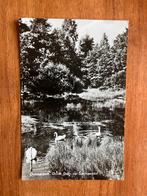 Ootmarsum. Grote Bron op Springendal met zwanen., Ophalen of Verzenden, 1960 tot 1980, Gelopen, Overijssel