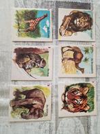 Wereldnatuurfonds reeks over Afrikaanse dieren, Ophalen of Verzenden, Zo goed als nieuw