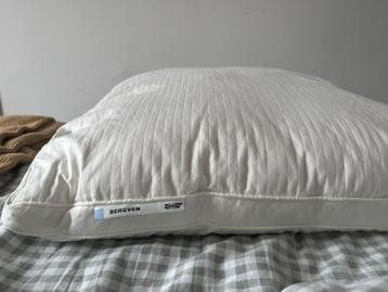 Pillow (60x70 cm) IKEA beschikbaar voor biedingen