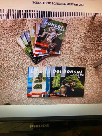 Bonsai Focus losse nummers en jaargangen t/m 2024 beschikbaar voor biedingen