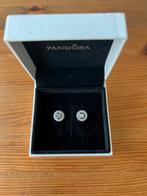 Pandora earrings, Ophalen of Verzenden, Zo goed als nieuw, Zilver