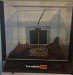 Terrarium 30x30x30 goede staat warmte mat en drinkbak alleen, Ophalen of Verzenden