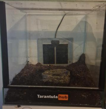 Terrarium 30x30x30 goede staat warmte mat en drinkbak alleen beschikbaar voor biedingen