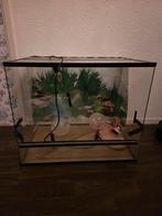 Terrarium, Ophalen, Kooi, Hamster, Minder dan 60 cm