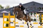 Plek vrij voor trainingspaard/ Stal vrij voor trainingspaard, Dieren en Toebehoren, Stalling en Weidegang, Weidegang, 4 paarden of pony's of meer