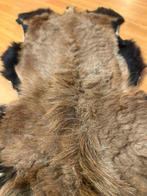 Geitenvacht 100/55, Gebruikt, 100 tot 150 cm, Bruin, Etten-Leur