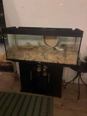Aquariumbak met kastje / hamsterscape beschikbaar voor biedingen