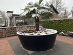 Mega grote plantenbak -boombak 🧡, Tuin en Terras, Bloembakken en Plantenbakken, Ophalen, Kunststof, Rond, Zo goed als nieuw