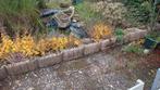 16 Betonnen plantenbakken, GRATIS, Tuin en Terras, Bloembakken en Plantenbakken, Ophalen, Gebruikt, Minder dan 30 cm, Minder dan 60 cm