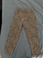 Mooie luipaard mom jeans van Monki mt 36/38 zgan!, Monki, Ophalen of Verzenden, Zo goed als nieuw, W28 - W29 (confectie 36)