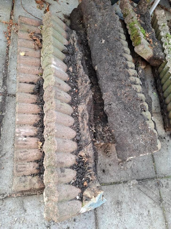 borderranden, Tuin en Terras, Bielzen en Borders, Gebruikt, Biels, Minder dan 25 cm, Minder dan 100 cm, Ophalen