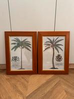 Set van 2 ingelijste palmboom prints 44x62 cm, Ophalen, Zo goed als nieuw, Hout, Minder dan 50 cm