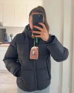 Nieuwe Parajumper kinderjas maat 158/164, Ophalen of Verzenden, Nieuw