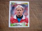 peter schmeichel denemarken plaatje, Ophalen of Verzenden, Zo goed als nieuw, Plaatje
