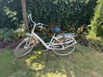 Batavus Damesfiets - Goed Onderhouden, Ophalen, Batavus, 53 tot 56 cm, Gebruikt