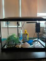 Compleet Aquarium Startpakket, Ophalen, Zo goed als nieuw, Leeg aquarium