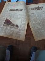 Artikel over West Terschelling 1918, Ophalen of Verzenden, Voor 1920, Knipsel(s)