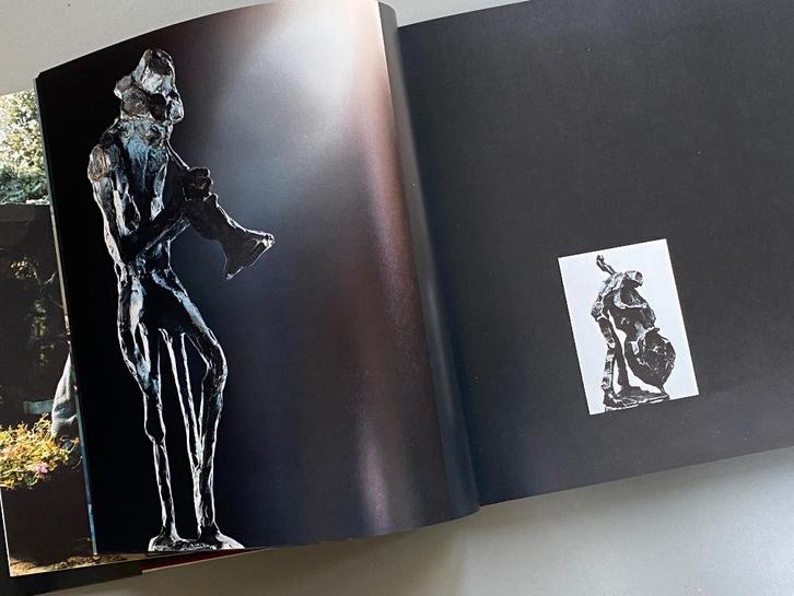 beeldend, Boeken, Kunst en Cultuur | Beeldend, Zo goed als nieuw, Beeldhouwkunst, Ophalen of Verzenden