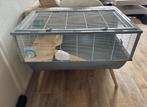 Complete knaagdierenkooi met toebehoren, Kooi, Gebruikt, Hamster, 75 tot 110 cm