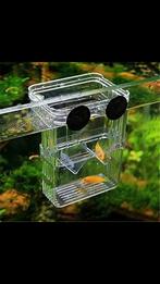 Kweek - Opvangbak, Ophalen of Verzenden, Nieuw, Leeg aquarium