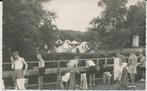 663Z K.N.G.V. Kamp, juli 1957, wsch. Driebergen, Ophalen of Verzenden, 1940 tot 1960, Gelopen, Utrecht