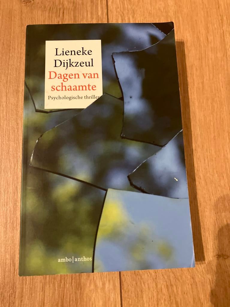 Dagen van schaamte - Lieneke Dijkzeul, Boeken, Ophalen of Verzenden, Zo goed als nieuw, Nederland
