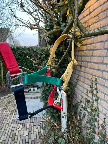 Halster pony  beschikbaar voor biedingen