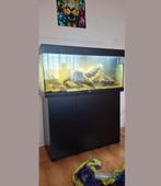 Aquariums juwel ., Dieren en Toebehoren, Vissen | Aquaria en Toebehoren, Ophalen, Zo goed als nieuw, Plant(en), Steen of Hout