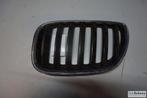 Bumper grille (Nier) origineel Bmw X5 E53, Gebruikt, -, -, Ophalen of Verzenden