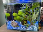 Tetra Silhouette Led aquarium 12 liter, Dieren en Toebehoren, Vissen | Aquaria en Toebehoren, Ophalen, Zo goed als nieuw, Leeg aquarium