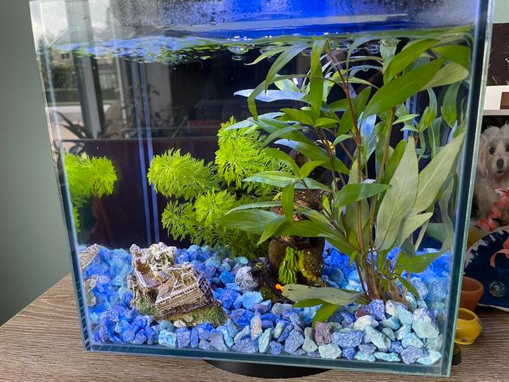 Tetra Silhouette Led aquarium 12 liter, Dieren en Toebehoren, Vissen | Aquaria en Toebehoren, Zo goed als nieuw, Leeg aquarium