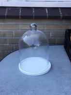 Glazen stolp, 31 cm hoog, Huis en Inrichting, Ophalen, Zo goed als nieuw